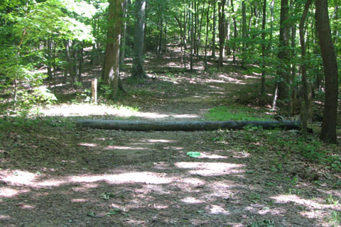 Horse Path crossing at Three Mile Hill
