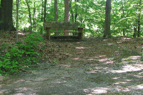 bench at goose neck