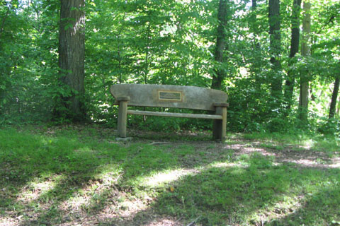 bench on Three Mile Hill