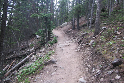 New section of the Colorado Trail
