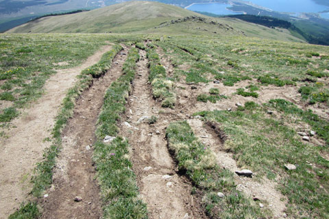 Four parallel track on the East Ridge of Mount Elbert