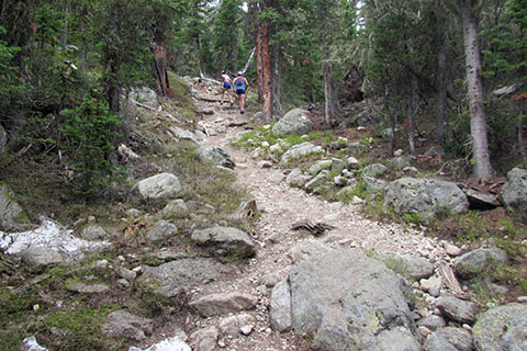 Trail runners climbing steep trail.