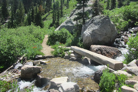 Creek crossing in the South Fork of Cascade Canyon