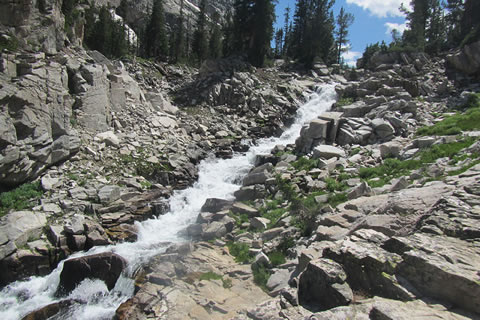 Cascade adjacent to the trail