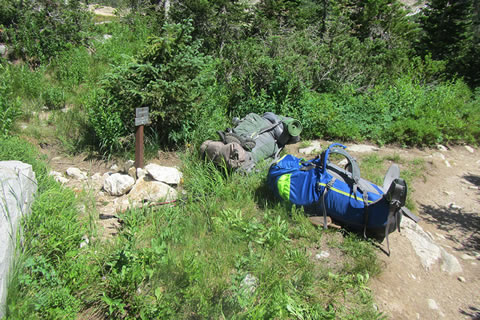Backpacks laying beside the trail.