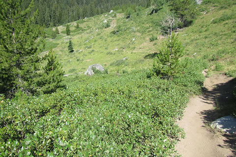 Open terrain leading to the Beaver Creek drainage.