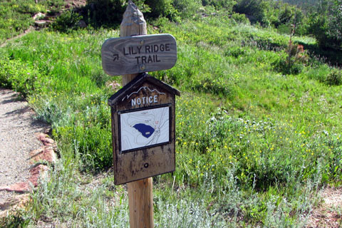Ridge trail sign