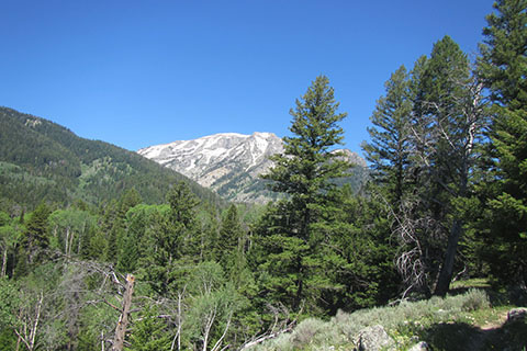 view to the west from Aspen Ridge Trail