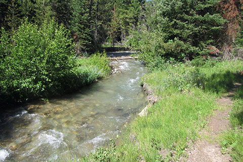 Creek next to the Aspen Ridge Trail