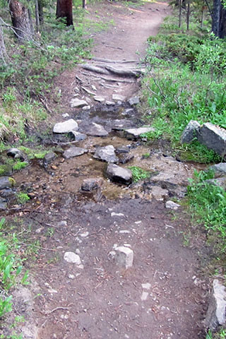 Trail crossing a small creek