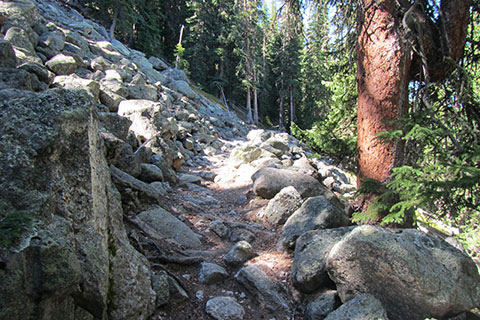 trail crossing a rock (talus) field on a rise