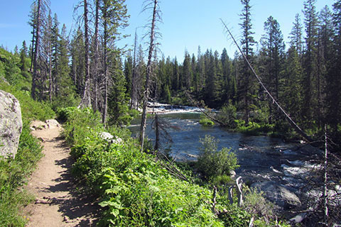 The trail next to String Lake Outlet