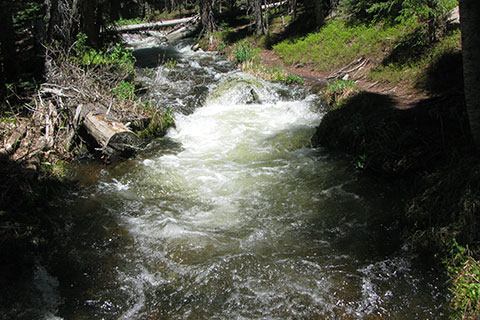 looking upstream from the bridge at Hunters Creek. A trail is alongside the creek