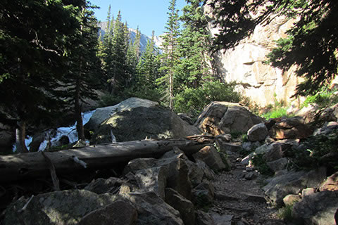 A switchback on The Loch Trail with Vale Creek next to the trail