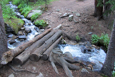 logs across Delaney Creek