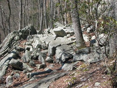 looking back at the trail above the slabs, rocky