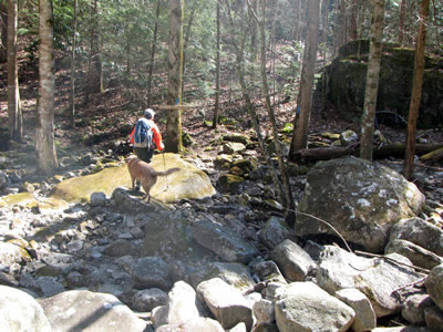 crossing rocky stream bed