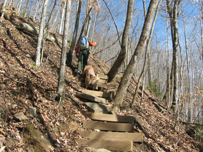 wooden steps ascending steeply