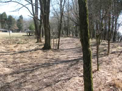 trail by ball fields