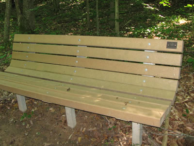 bench 2