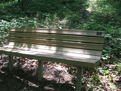 bench three