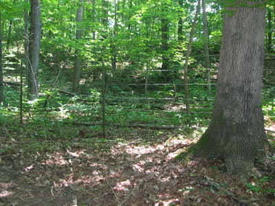fence boundary