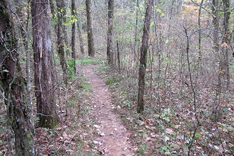 Hidden Springs Trail