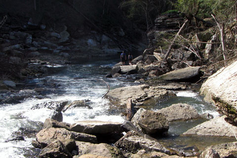 Creek below the falls