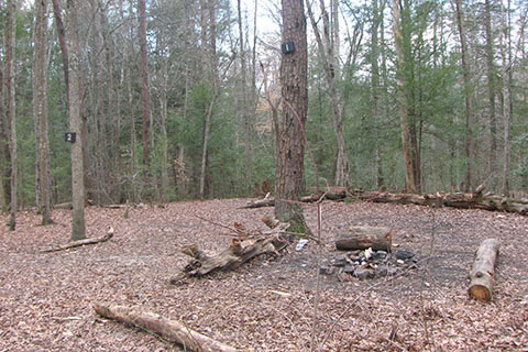 campsite 1, with campfire
