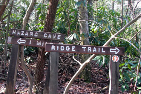 Ridge Trail Junction