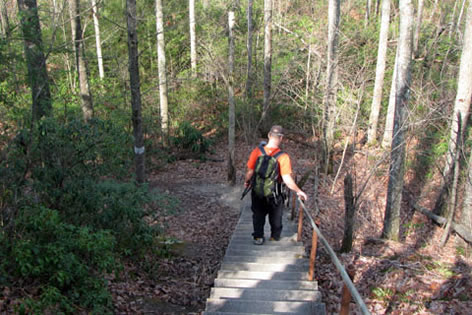 steps on the main trail