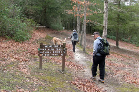 Beginning the hike at the trailhead
