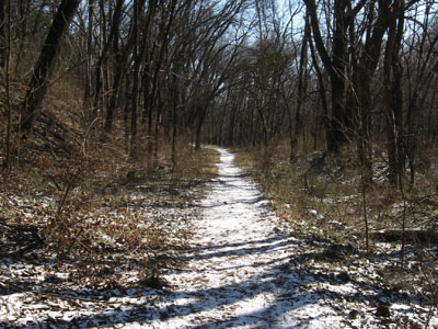 trail back to junction