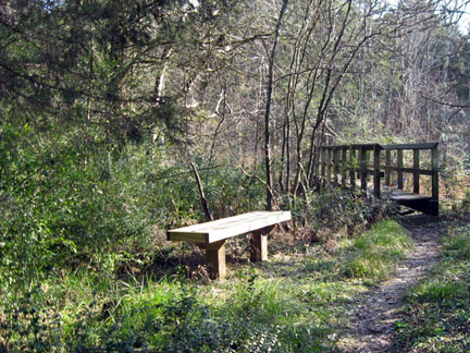Bridge and bench