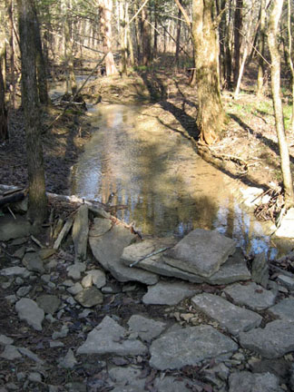 drainage creek