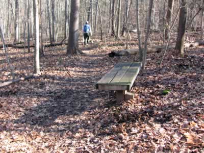 bench on top of the hill