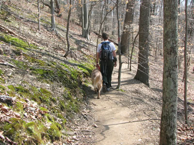 Trail leading away from the Cane Junction