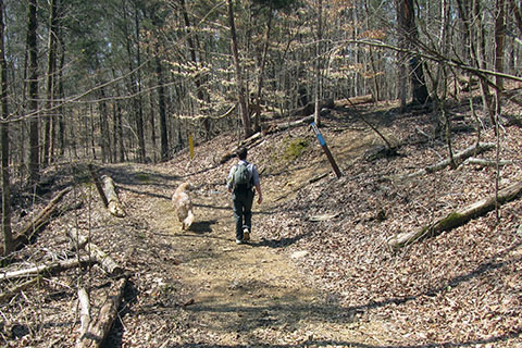 at times the trail shares the mountain bike trail for a short distance, the hiking trail is leaving the yellow mountain bike trail
