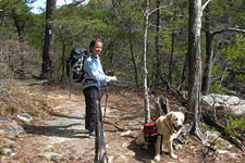 hiker and dog on North Rim Trail
