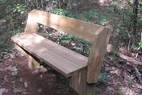 Bench atop the knoll
