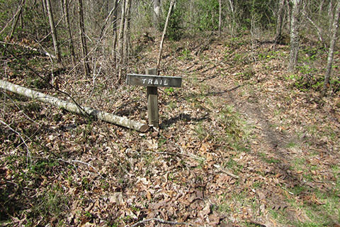 Road cut srossing the trail, sign directs hikers