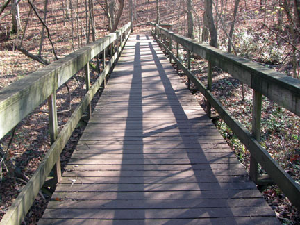 Lake Trail Bridge