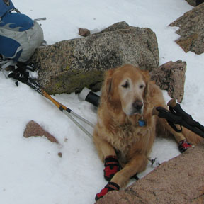 Jake on Summit Bierstadt