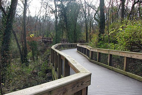 Elevated walkway leading to the bridge over Richland Creek