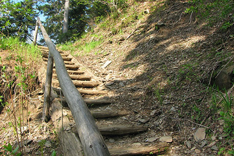 Upper switchback and steps