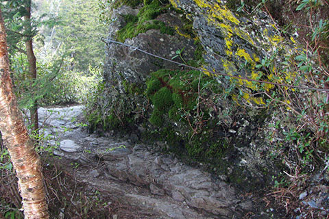 a blind corner on the trail
