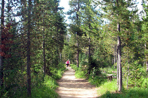 the Trail near the start