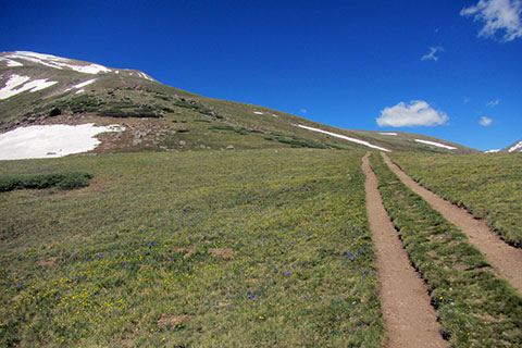 two tracks crossing the alpine tundra to the east ridge of Mount Elbert
