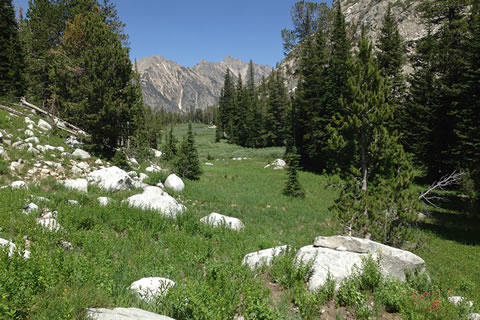 Marshy valley in South Fork of Cascade Canyon