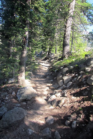 The trail climbing the ridge
